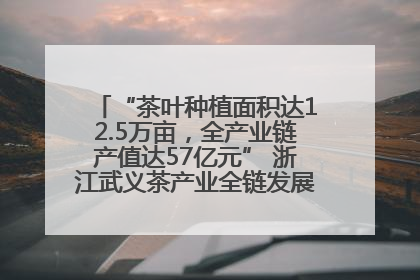 “茶叶种植面积达12.5万亩，全产业链产值达57亿元” 浙江武义茶产业全链发展“加速度”