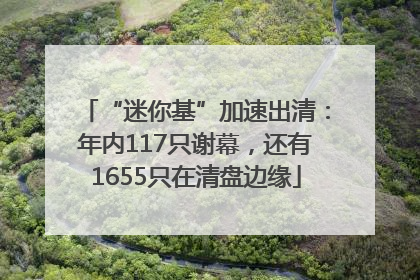 “迷你基”加速出清：年内117只谢幕，还有1655只在清盘边缘
