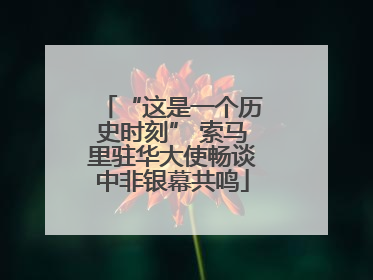 “这是一个历史时刻” 索马里驻华大使畅谈中非银幕共鸣