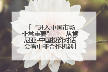 “进入中国市场，非常重要”——从肯尼亚-中国投资对话会看中非合作机遇