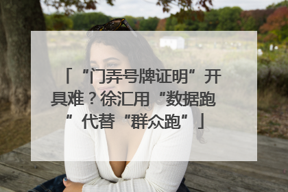 “门弄号牌证明”开具难？徐汇用“数据跑”代替“群众跑”