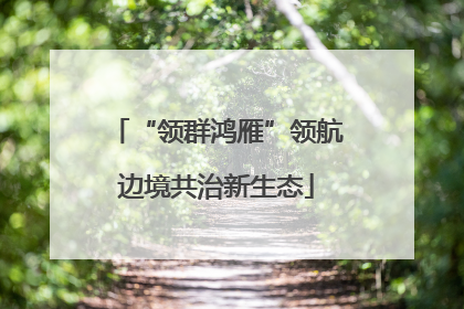 “领群鸿雁”领航边境共治新生态
