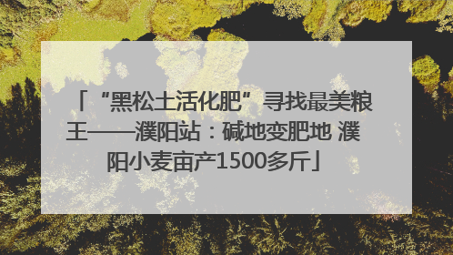 “黑松土活化肥”寻找最美粮王——濮阳站：碱地变肥地 濮阳小麦亩产1500多斤