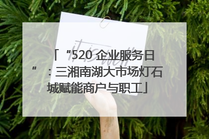 “520 企业服务日”：三湘南湖大市场灯石城赋能商户与职工
