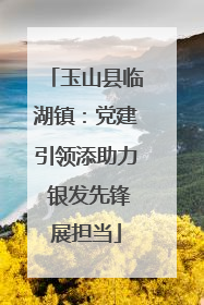 玉山县临湖镇：党建引领添助力 银发先锋展担当