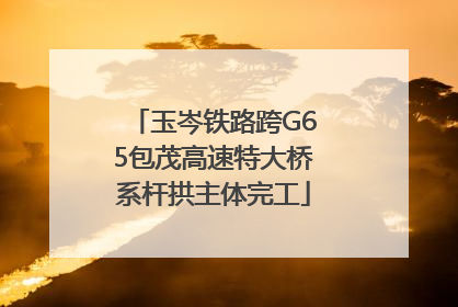 玉岑铁路跨G65包茂高速特大桥系杆拱主体完工