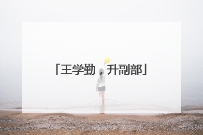 王学勤，升副部