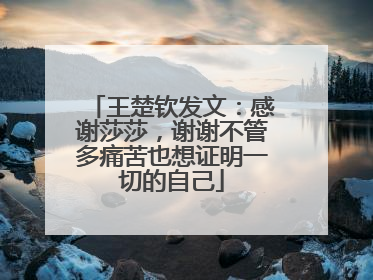 王楚钦发文：感谢莎莎，谢谢不管多痛苦也想证明一切的自己