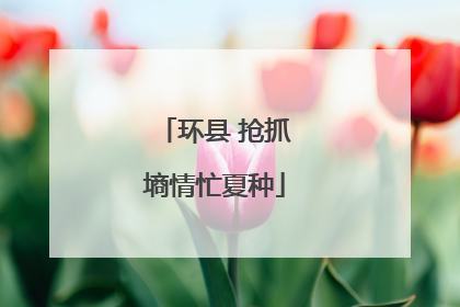 环县 抢抓墒情忙夏种