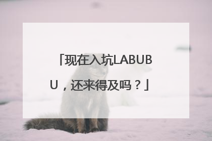 现在入坑LABUBU，还来得及吗？