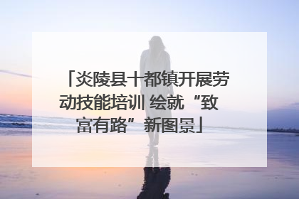 炎陵县十都镇开展劳动技能培训 绘就“致富有路”新图景