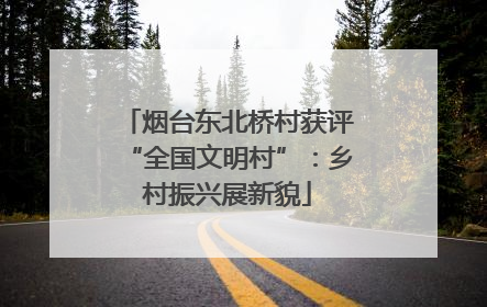 烟台东北桥村获评“全国文明村”：乡村振兴展新貌