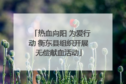 热血向阳 为爱行动 衡东县组织开展无偿献血活动
