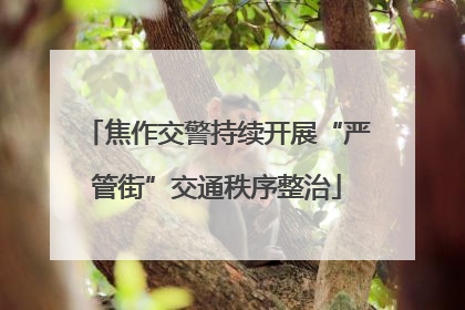 焦作交警持续开展“严管街”交通秩序整治