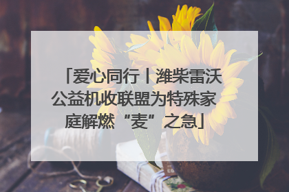 爱心同行丨潍柴雷沃公益机收联盟为特殊家庭解燃“麦”之急