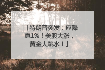 特朗普突发：应降息1%！美股大涨，黄金大跳水！