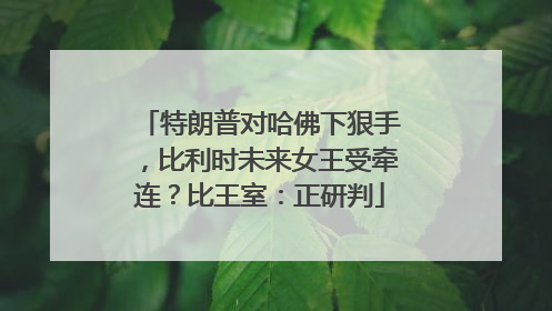 特朗普对哈佛下狠手，比利时未来女王受牵连？比王室：正研判