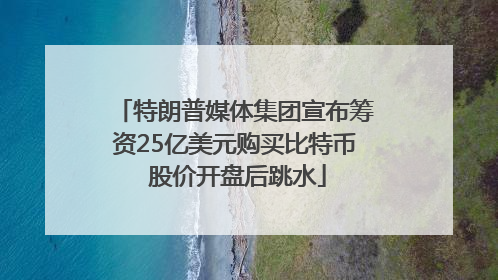 特朗普媒体集团宣布筹资25亿美元购买比特币 股价开盘后跳水