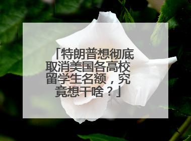 特朗普想彻底取消美国各高校留学生名额，究竟想干啥？
