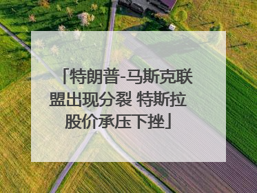 特朗普-马斯克联盟出现分裂 特斯拉股价承压下挫