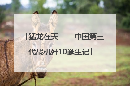 猛龙在天——中国第三代战机歼10诞生记