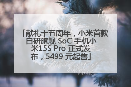 献礼十五周年，小米首款自研旗舰 SoC 手机小米15S Pro 正式发布，5499 元起售