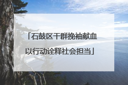 石鼓区干群挽袖献血 以行动诠释社会担当