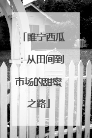 睢宁西瓜：从田间到市场的甜蜜之路