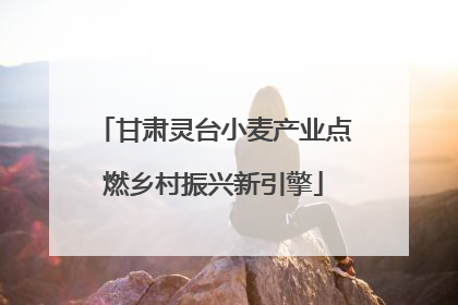 甘肃灵台小麦产业点燃乡村振兴新引擎