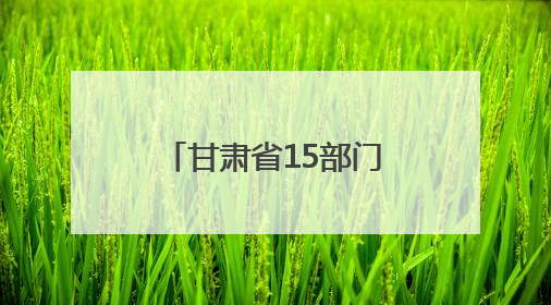 甘肃省15部门联合出台金融惠民政策 扎实做好“五篇大文章”