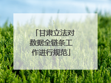 甘肃立法对数据全链条工作进行规范