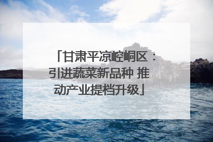 甘肃平凉崆峒区：引进蔬菜新品种 推动产业提档升级