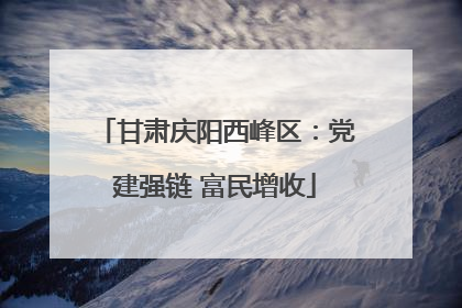 甘肃庆阳西峰区：党建强链 富民增收