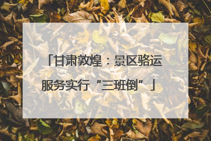 甘肃敦煌：景区骆运服务实行“三班倒”