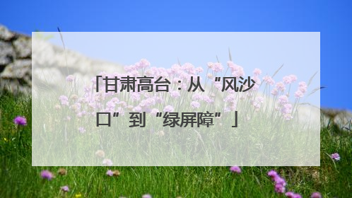 甘肃高台：从“风沙口”到“绿屏障”
