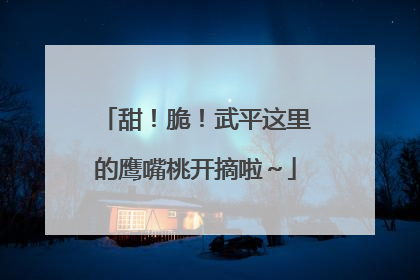 甜！脆！武平这里的鹰嘴桃开摘啦～