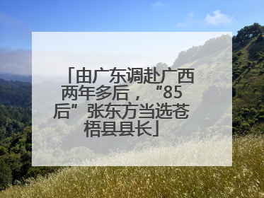 由广东调赴广西两年多后，“85后”张东方当选苍梧县县长