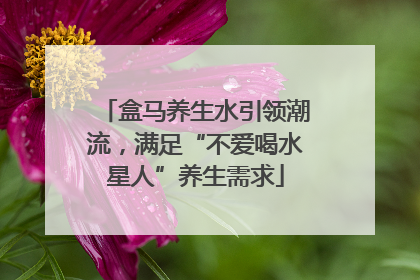 盒马养生水引领潮流，满足“不爱喝水星人”养生需求