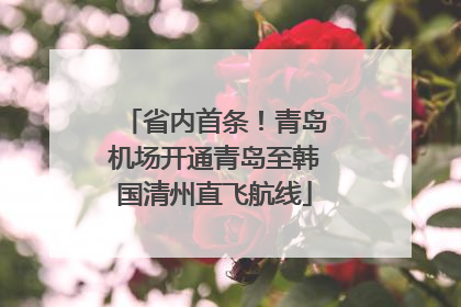 省内首条！青岛机场开通青岛至韩国清州直飞航线