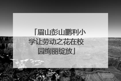 眉山彭山鹏利小学让劳动之花在校园绚丽绽放