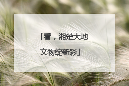 看，湘楚大地文物绽新彩