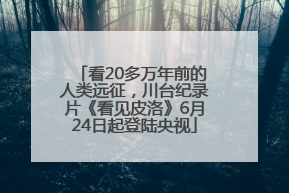 看20多万年前的人类远征，川台纪录片《看见皮洛》6月24日起登陆央视