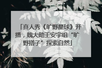 真人秀《旷野星球》开播,魏大勋王安宇组“旷野搭子”探索自然