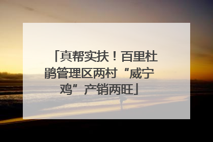真帮实扶！百里杜鹃管理区两村“威宁鸡”产销两旺