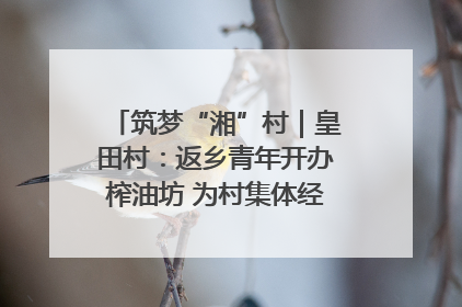 筑梦“湘”村｜皇田村：返乡青年开办榨油坊 为村集体经济“加油”