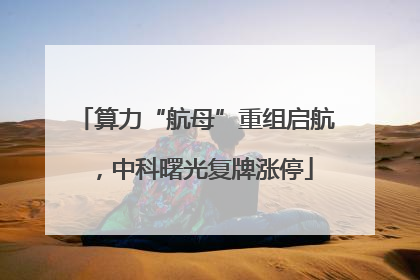 算力“航母”重组启航，中科曙光复牌涨停