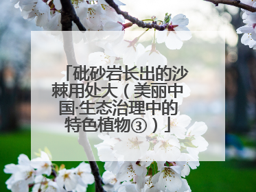砒砂岩长出的沙棘用处大（美丽中国·生态治理中的特色植物③）