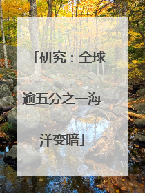 研究：全球逾五分之一海洋变暗