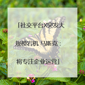 社交平台X突发大规模宕机 马斯克：将专注企业运营