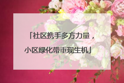 社区携手多方力量，小区绿化带重现生机